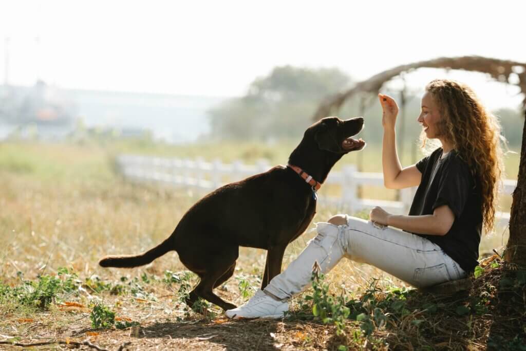 pet pharmacy, a girl playing with the dog