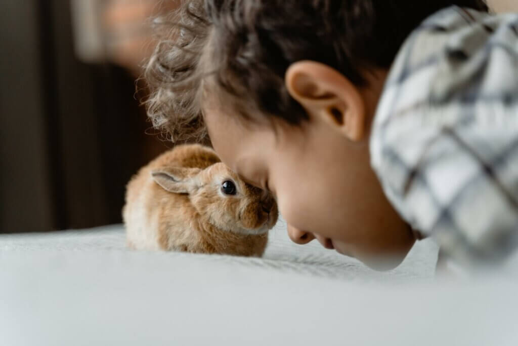 pet compounding pharmacy,
a litle girl playing with a pet